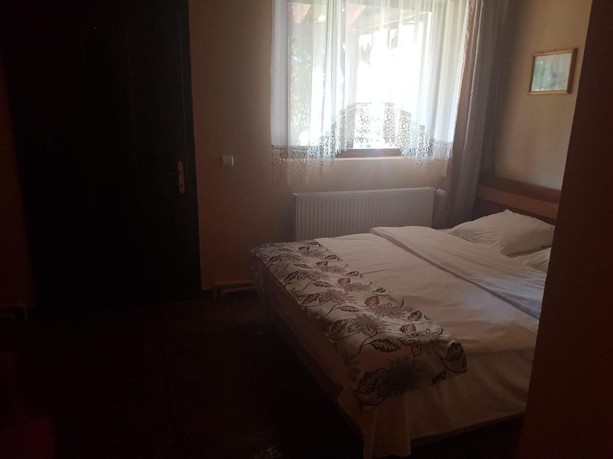 Vila Sura Razoare Segesvár Kültér fotó