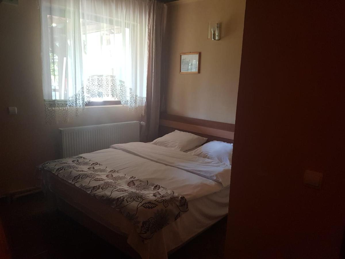 Vila Sura Razoare Segesvár Kültér fotó