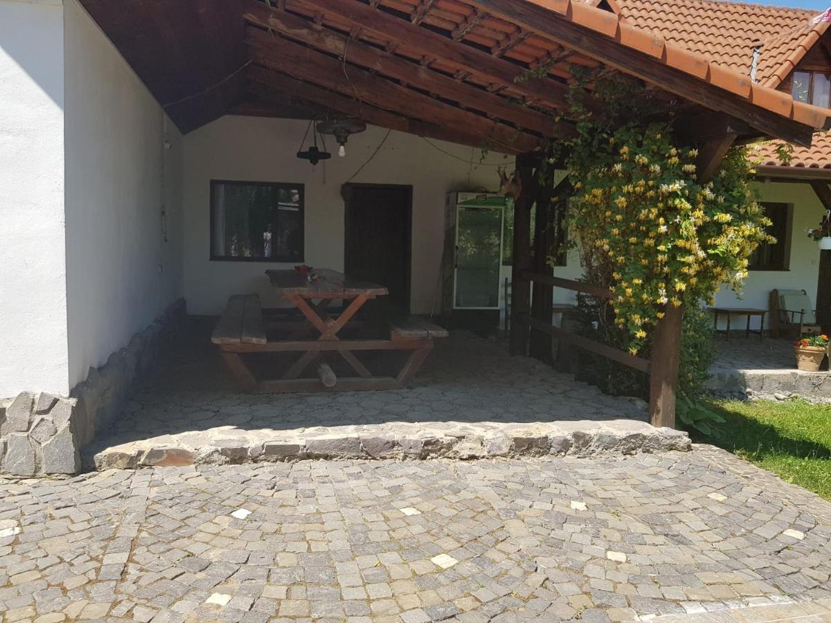 Vila Sura Razoare Segesvár Kültér fotó
