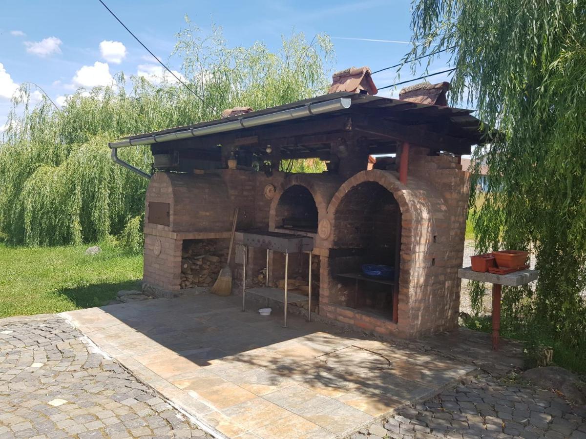 Vila Sura Razoare Segesvár Kültér fotó