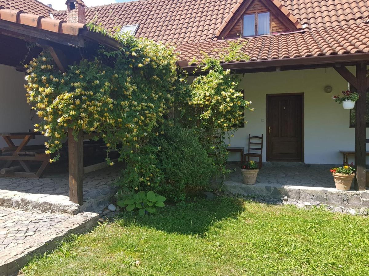 Vila Sura Razoare Segesvár Kültér fotó