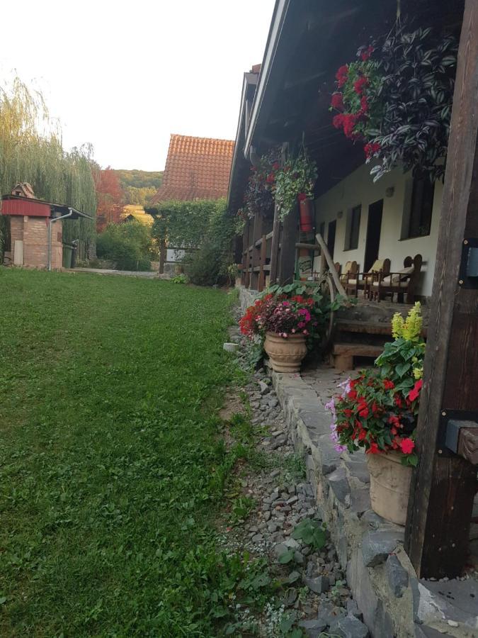 Vila Sura Razoare Segesvár Kültér fotó