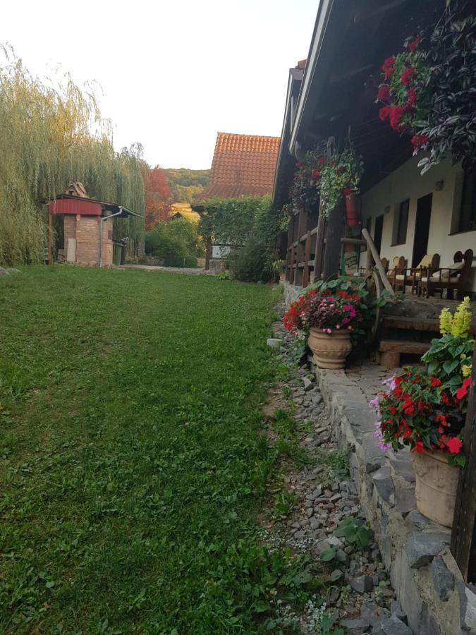 Vila Sura Razoare Segesvár Kültér fotó