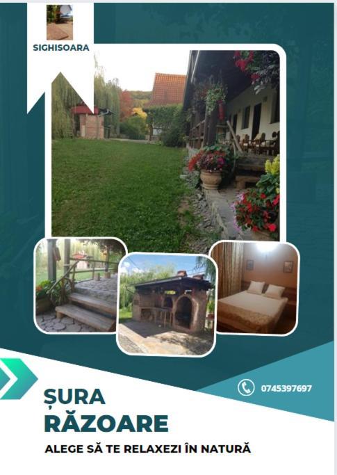 Vila Sura Razoare Segesvár Kültér fotó