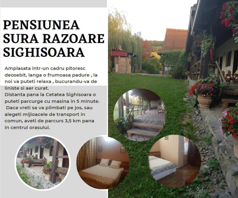 Vila Sura Razoare Segesvár Kültér fotó
