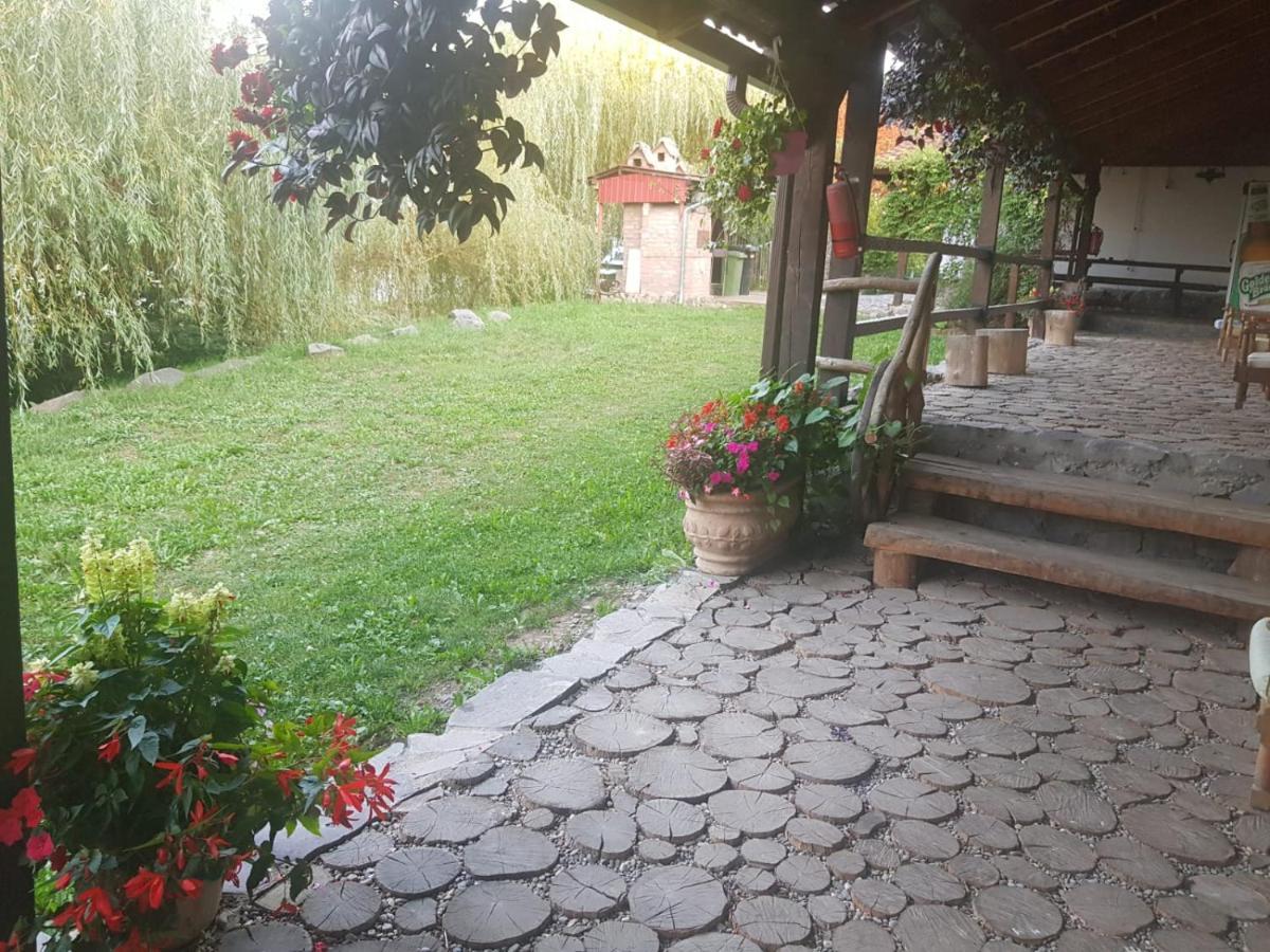Vila Sura Razoare Segesvár Kültér fotó